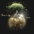 arbre (3659 visites) arbre